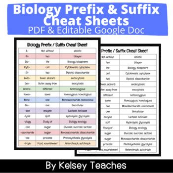 biology heters|Biology Prefixes and Suffixes: heter.